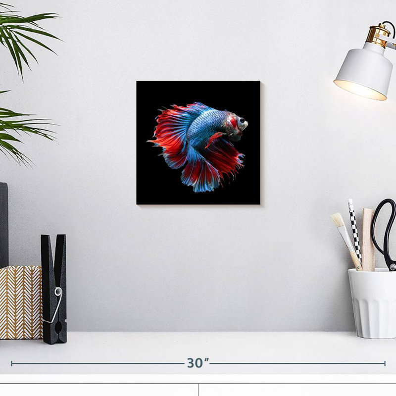 Brampt Blue And Red Betta Fish, 10" H x 10" W