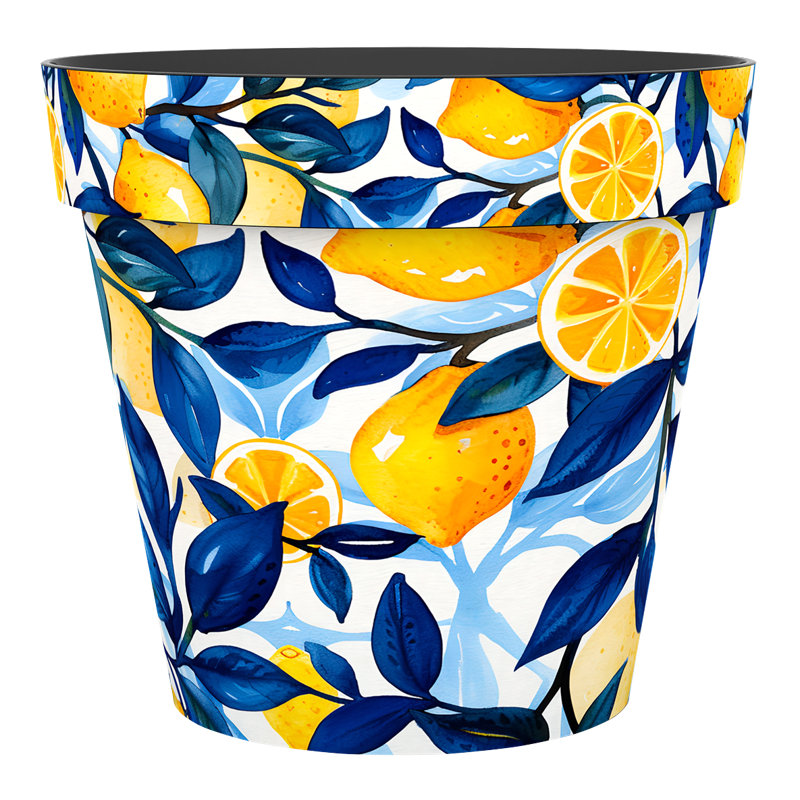 Ayotte Handmade Pot Planter, 5.51cm H x 5.91cm W x 5.91cm D