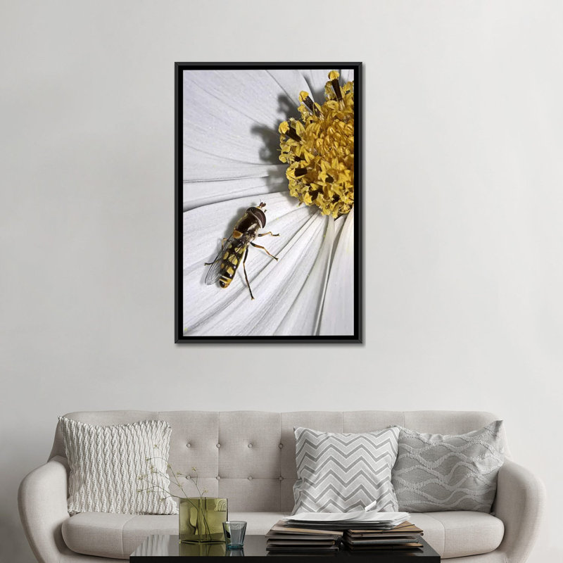 « one from sd smart », reproduction de photo sur toile, H 26 po x l 18 po x P 1,5 po, Toile avec cadre noir, Pas de tapis