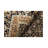 Wool Oriental Indoor Rug
