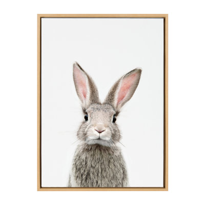 Animal Studio Female Rabbit by Amy Peterson Framed Canvas Wall Art Print