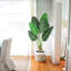 Faux Plant-1029990658