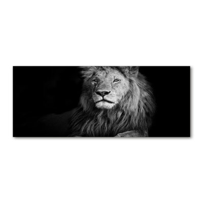 Lion - No Frame Print on Canvas