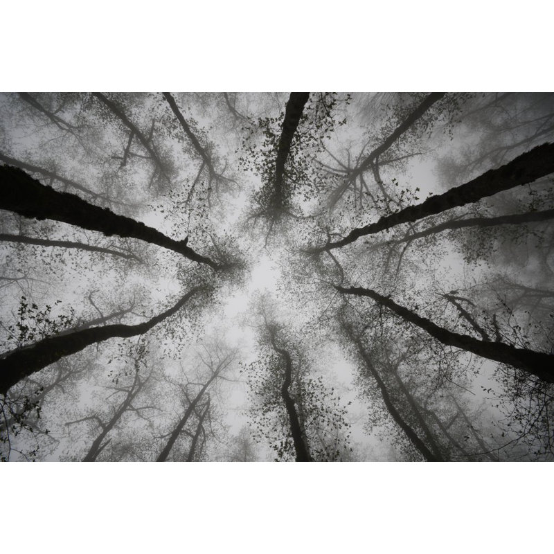 Wrapped Canvas Print, 50.8cm H x 76.2cm W