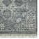 Sapphire Oriental Area Rug in Gray