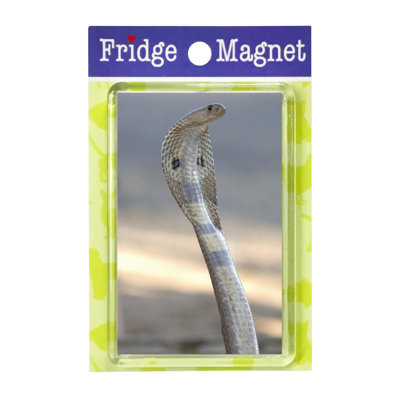 Fridge Magnet