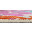 Tapis Analiese-343120646