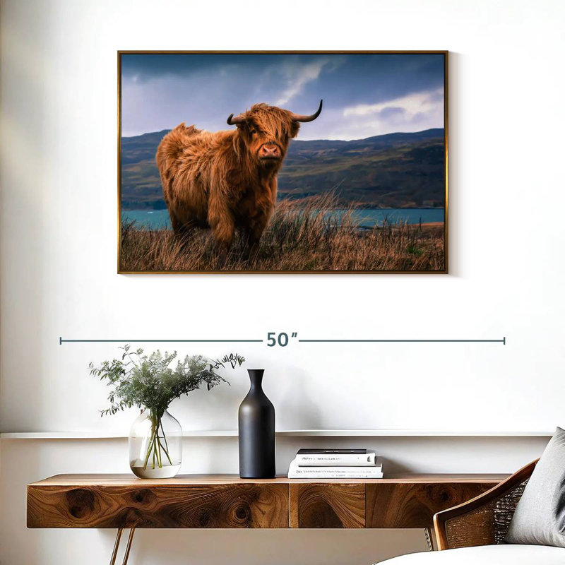Grande vache Highland, Cadre flottant doré, 37 po x 25 po