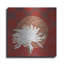 «Morning Chrysanthemum IV» par Kathrine Lovell, art mural en métal, 24 po x 24 po-1848307932