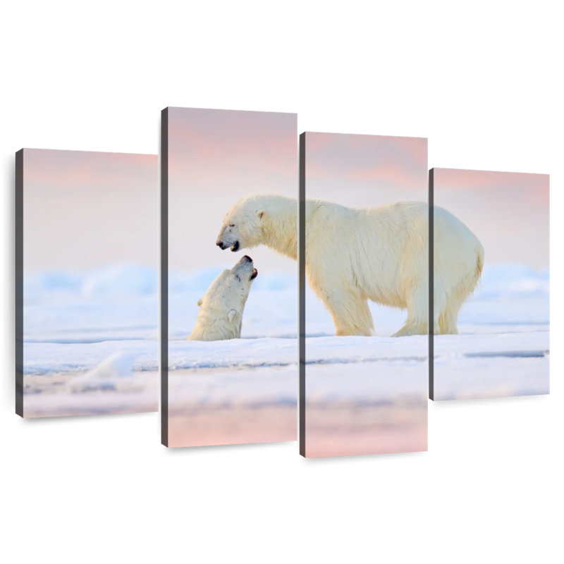 Brampt Playful Arctic Polar Bears