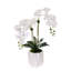 Real Touch Phalaenopsis Orchids in White Dimensional Pot-1195572953