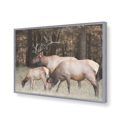«Family of Elks» par Lori Deiter, reproduction d'art