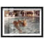«Resort Tiger I», impression murale encadrée à impression acrylique encadrée par Notoriart, cadre blanc, 15 x 10-1856063495-1856063497