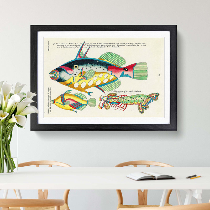 East Indies Fish Illustrations XXVIII by Louis Renard - Picture Frame Graphic Art Print, 36cm H x 48cm W x 2cm D
