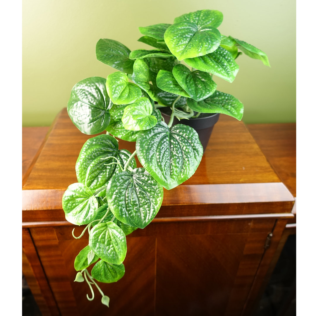 Foliage Plants 35cm Faux Plant in Pot Liner