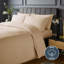 Silentnight Pure Cotton 200 TC Duvet Cover Set-112620281-112620280