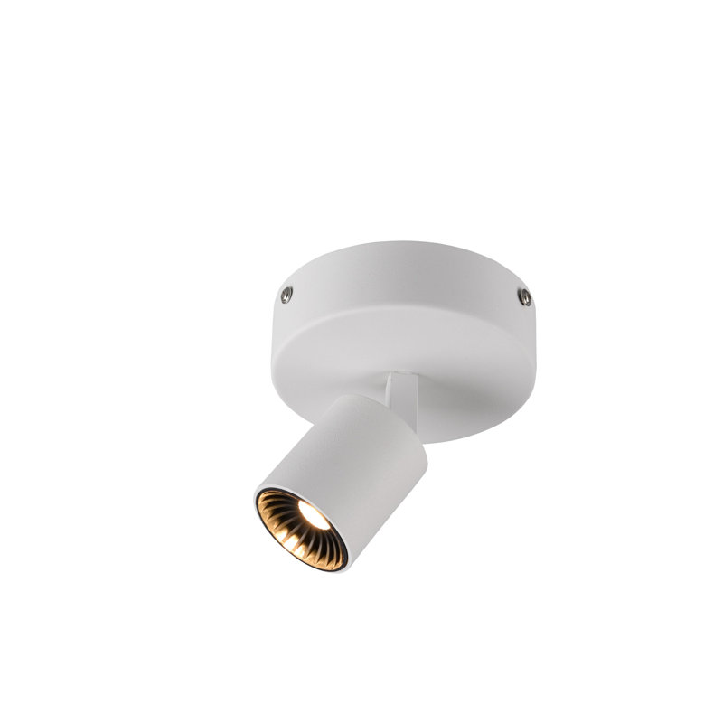 Wildhollow LED Spotlight, White