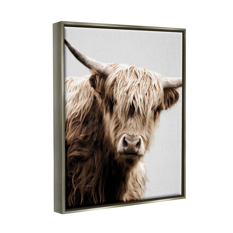 «Wooly Bovins», impression sur toile par Danita Delimont, H 31 po x l 25 po x P 1,7 po, Cadre flottant gris lustré