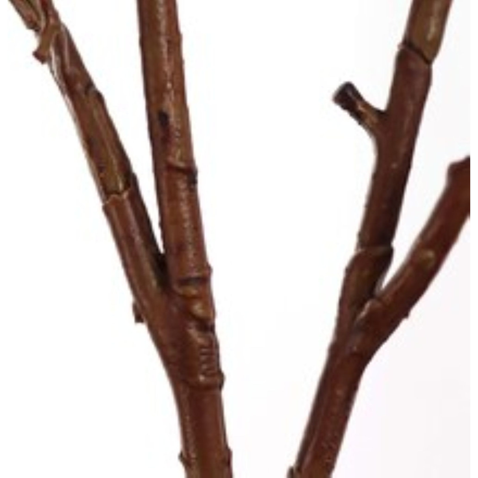 41" Twig Branch