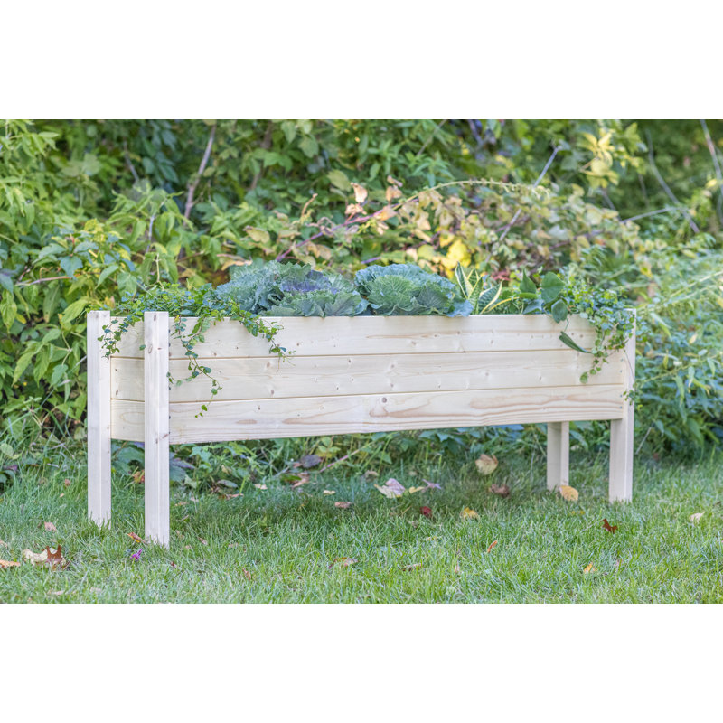 Fidelas Wood Elevated Planter, 60"L X 12" W X 22"H