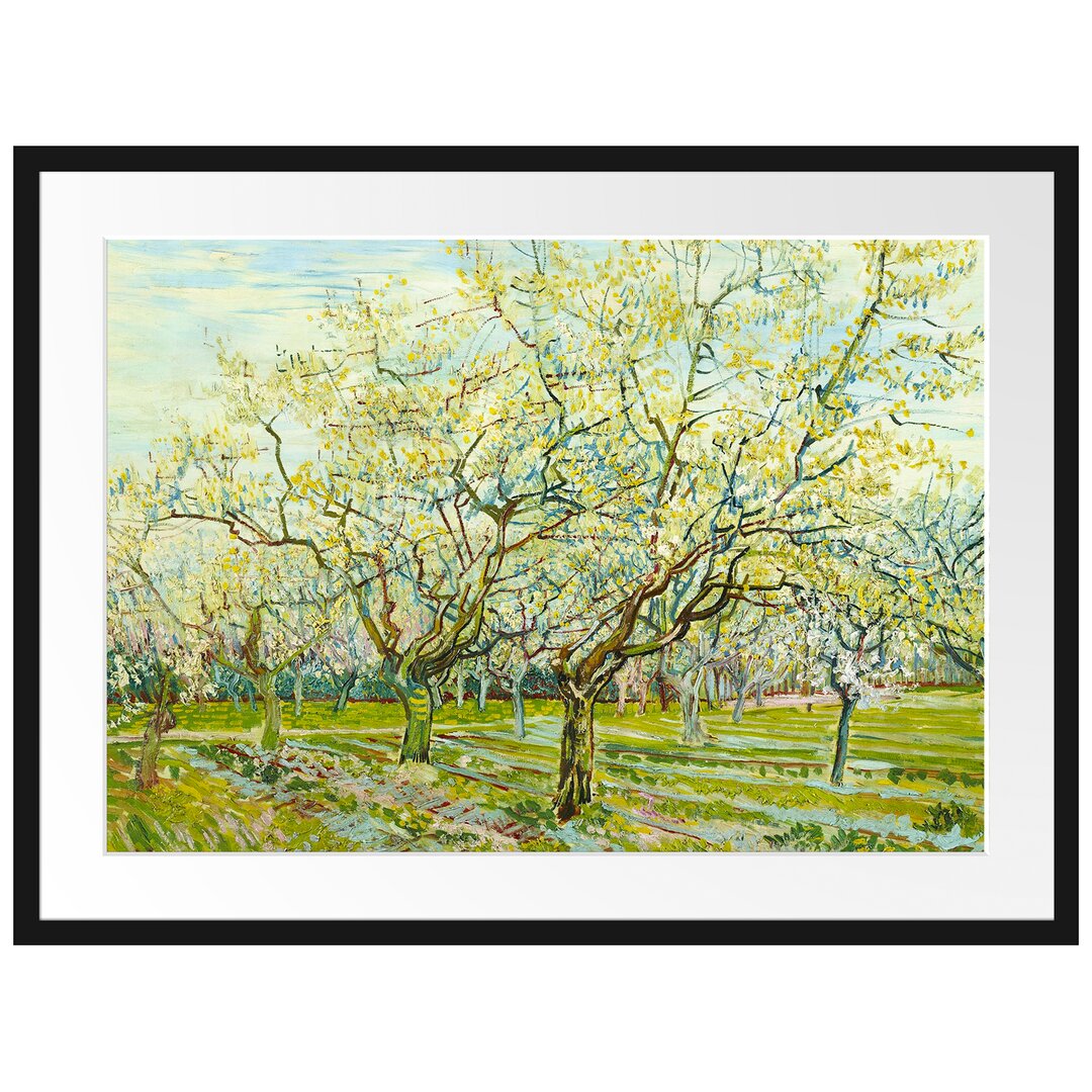 Gerahmter Kunstdruck The White Orchard von Vincent Van Gogh