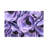 Soft With Pile Printed Rug Featuring an Intricate Geometric Design Perfect for Adding a Modern Touch to Your Living Room or Bedroom Decor-777066101