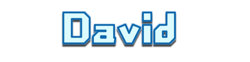 Logo David