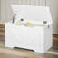 Pensiero Accent Wooden Storage Chest Box