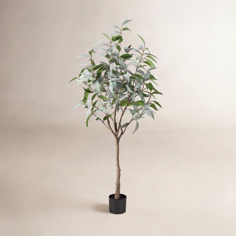 Eucalyptus artificiel Adcock en pot, plante verte, faux eucalyptus pour la décoration intérieure, H 60 po x l 25 po x P 25 po