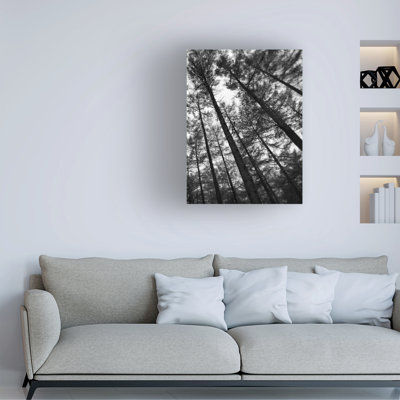 Landscape Dark Tree Forest 2 On Canvas 2 Pieces Print