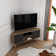 Ibarra TV Stand for TVs up to 55"