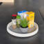 Semih Food Storage Container