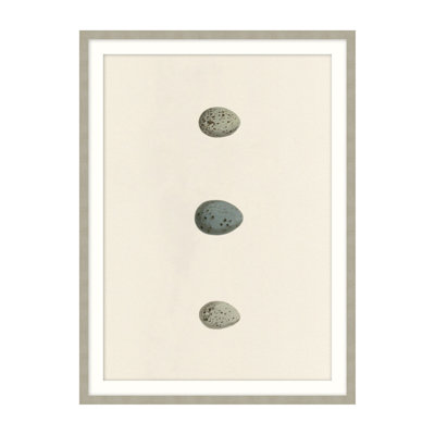 Unhatched 6 Illustration by Studio L57 Nouvelle