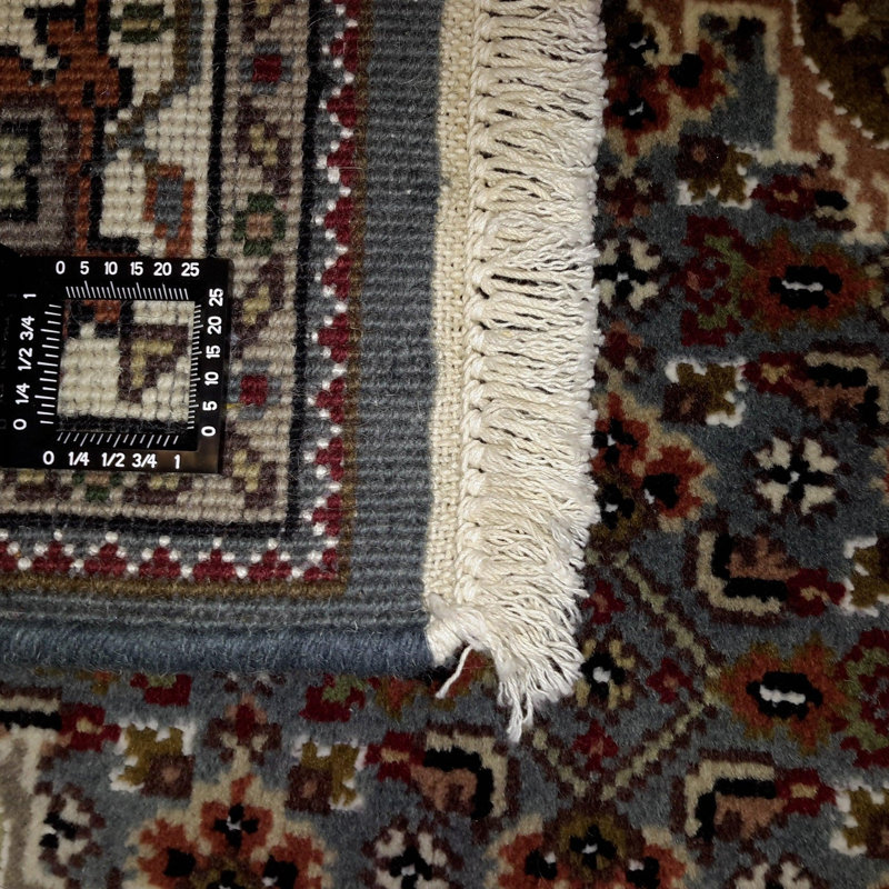 Pasqualine Hand Woven Cotton and Wool Oriental Area Rug