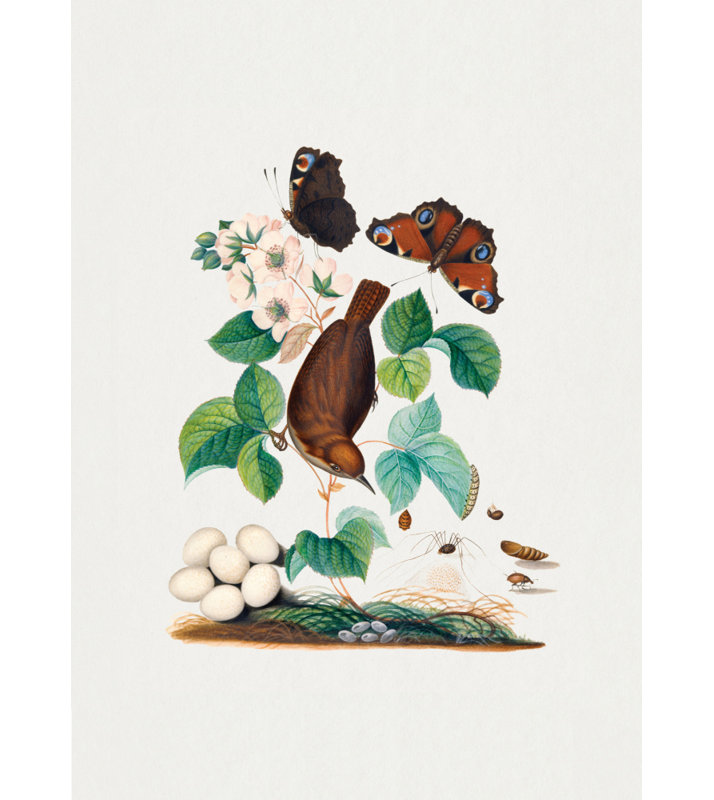 Wrapped Canvas Print, 91.44 cm H x 60.96 cm W