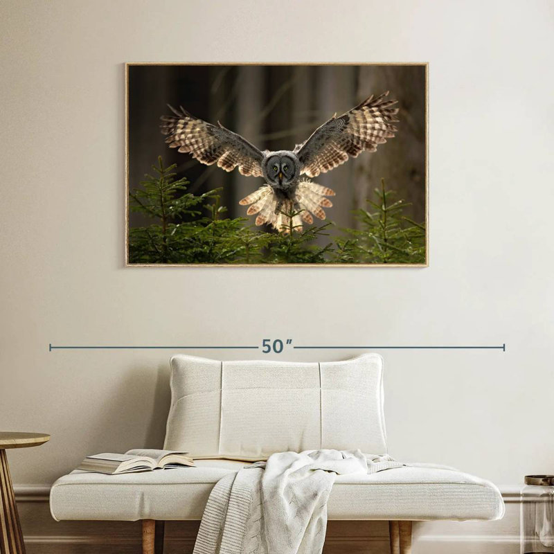 Hibou volant, Cadre flottant en bois naturel, 40 po x 27 po