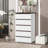 5-Drawer Accent Storage Chest