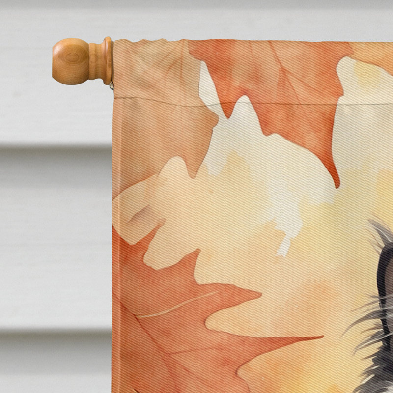 Chat en feuilles d'automne, Himalayen