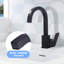 Robinet de cuisine Aleasha
