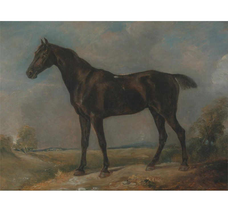 «Golding Constable's Black Riding-Horse» par John Constable - Art mural sur toile tendue avec châssis