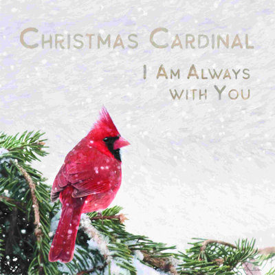 Cardinal de Noël