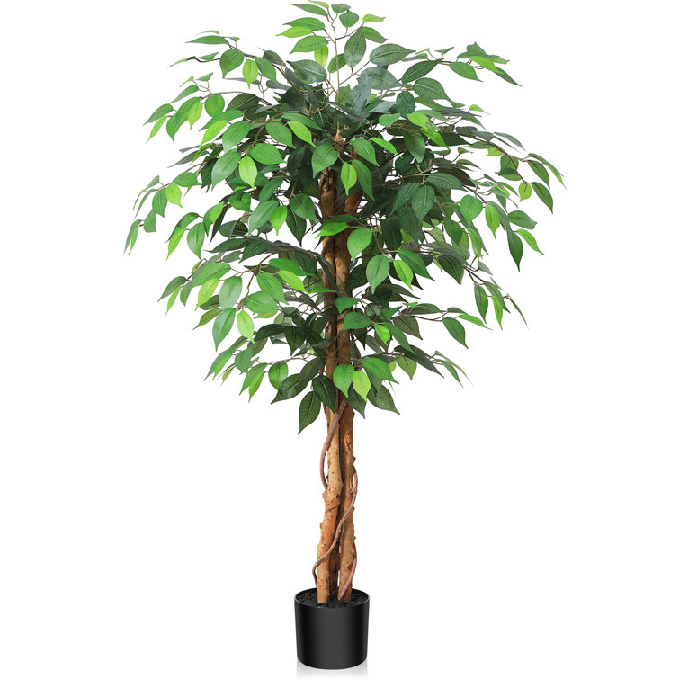 Adcock Faux Ficus Tree in Pot  with Realistic Leaves and Natural Trunk