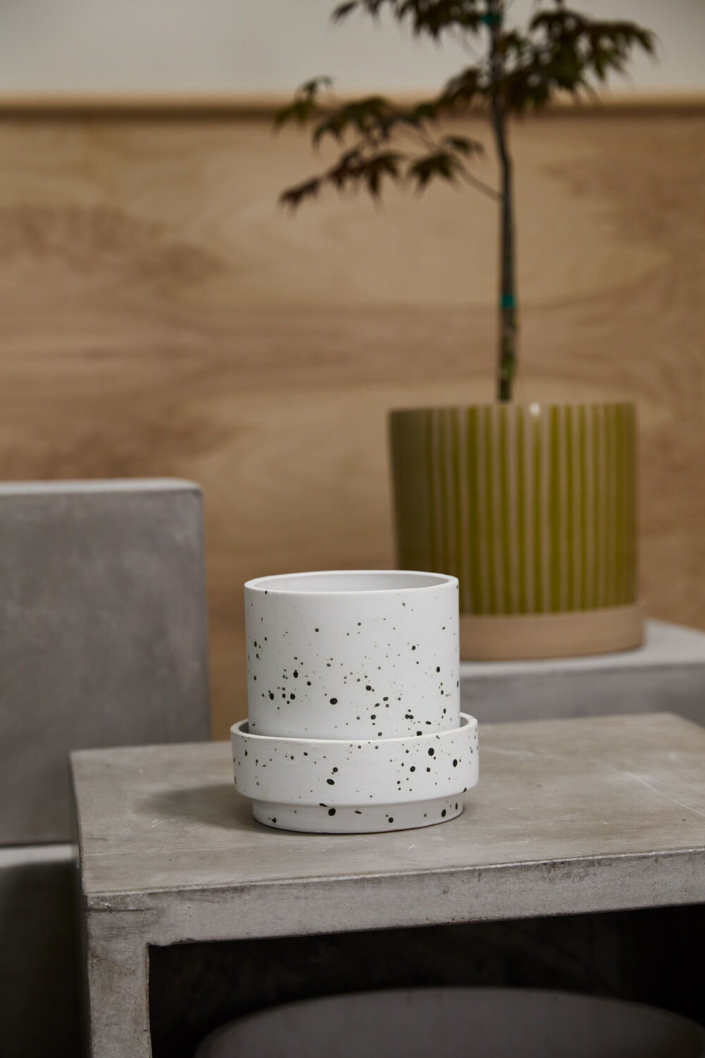 Bridgeway Pot with Saucer, 6" H x 6.25" W x 6.25" D