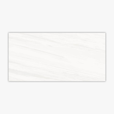 Dolomite White Polished 24x48 Porcelain Tile