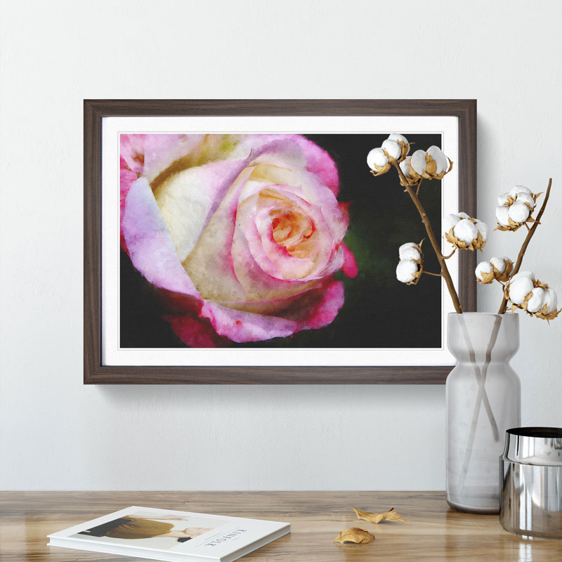 Pink Tipped Rose - Picture Frame Graphic Art Print, 62cm H x 87cm W x 2cm D, Walnut