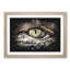 Crocodile Eye - Framed Print-56917295-56917298