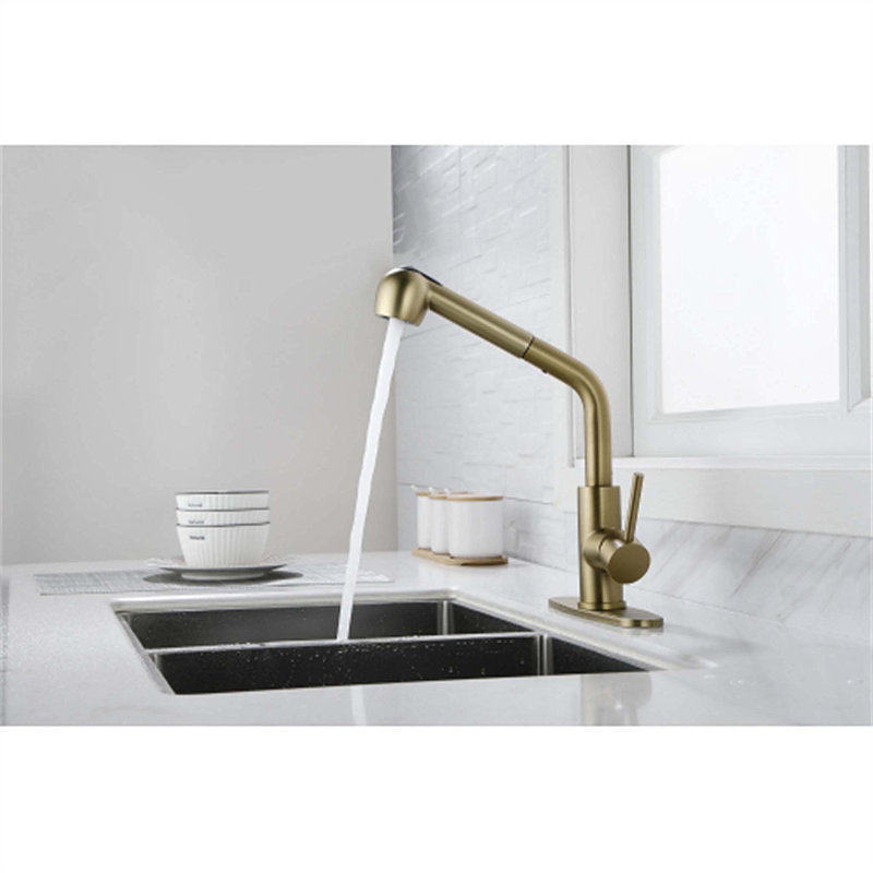 Red Cloud Pull Out Kitchen Faucet, Gold