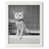 White Framed Paper