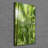 The Rainforest - Wrapped Canvas Print