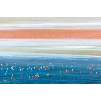 Flamingos And Salt In Laguna Colorada by Gfed - No Frame Print on Canvas